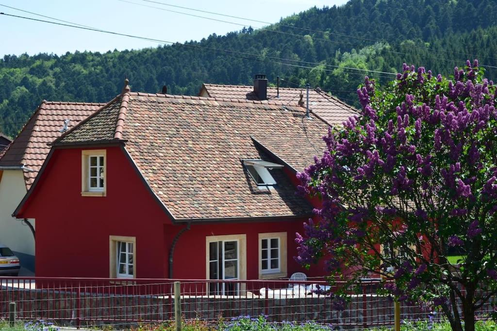 Doller Villa 4 Stars Hot Tub Mountain Ski Ballon D'Alsace Sewen Exterior foto